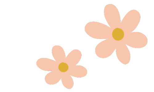 Petites fleurs pêches et jaunes pour le site web de ALarocque Design